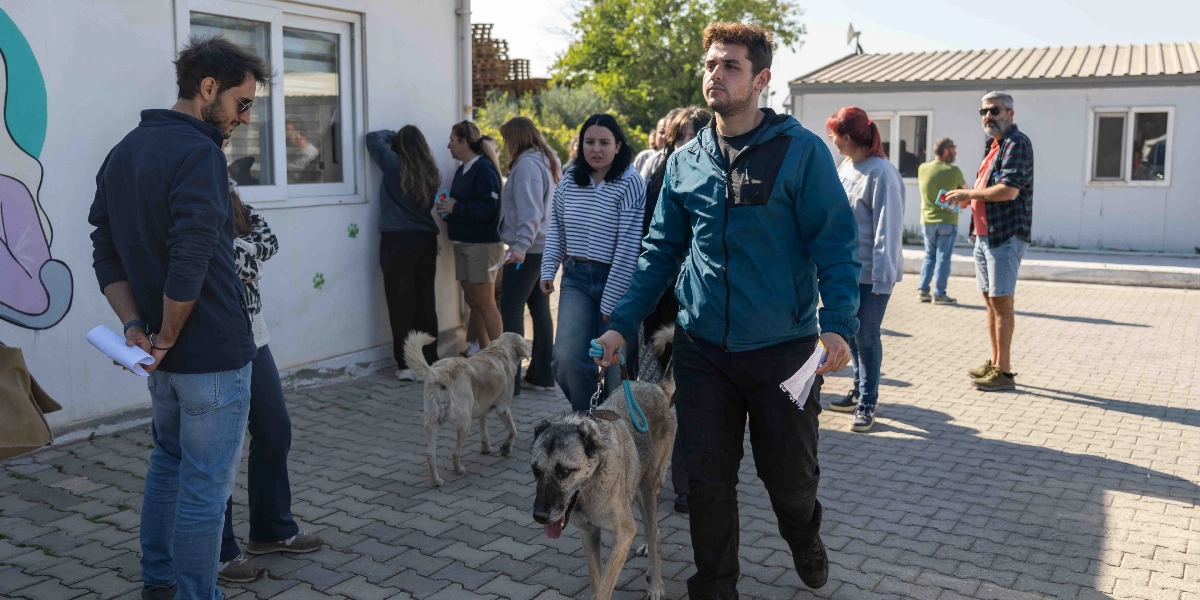 Açık havada, parke taşlı bir alanda bir grup insan ve köpekler bir arada bulunuyor. Ön planda mavi ceketli bir genç adam, tasmasından tuttuğu büyük bir köpeği yürütüyor. Arka planda ise ellerinde belgelerle bekleyen veya birbirleriyle sohbet eden farklı yaşlardan insanlar ve serbestçe dolaşan başka köpekler görülüyor. Arka planda beyaz prefabrik yapılar ve duvarında renkli bir duvar resmi bulunan bir bina yer alıyor.