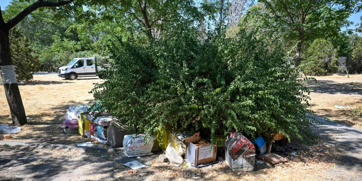 Ağaçlık ve kuru otlarla kaplı bir alanda, büyük bir çalının dibine bırakılmış çok sayıda plastik evcil hayvan taşıma kafesi ve çeşitli atıklar bulunuyor. Arka planda park halindeki beyaz bir belediye aracı görülüyor.