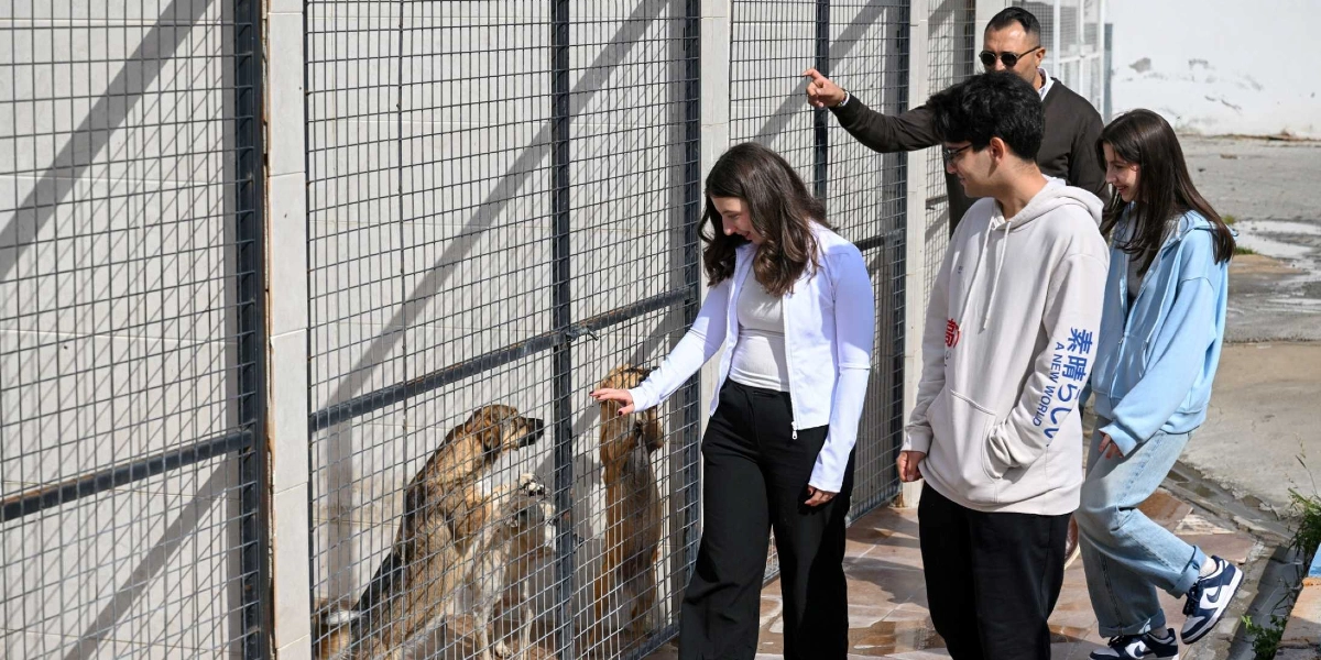 Bir hayvan barınağında, tel örgülü bölmelerin önünde duran üç genç ve bir yetişkin, içerideki köpeklerle ilgileniyor. Beyaz ceketli genç kadın elini tel örgüye uzatmış köpekleri severken, yanındaki arkadaşları ve arkalarındaki güneş gözlüklü yetişkin onları izliyor. Köpekler tel örgünün arkasından dışarıya doğru merakla bakıyor.