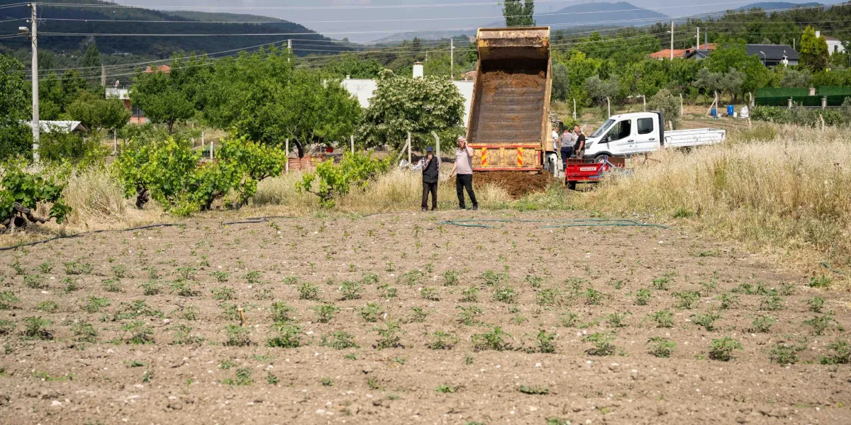 Açık bir arazide, damperli bir kamyonun boşalttığı organik atık yığınının önünde iki kişi duruyor. Arka planda yeşil ağaçlar, bir beyaz kamyonet ve tarım alanı görülüyor. Ön planda ise yeni dikilmiş küçük fidelerin bulunduğu sürülmüş bir toprak alanı yer alıyor.