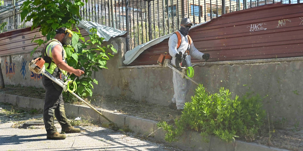 İki belediye çalışanı, bordür kenarlarındaki yabani otları temizlemek için motorlu tırpan kullanıyor. Soldaki çalışan sarı yelek ve koruyucu yüz siperi takarken, sağdaki çalışan beyaz koruyucu tulum, şapka ve maske giyiyor. Çalışanlar, grafiti yapılmış metal bir çit ve beton duvarın önündeki yeşil alanlarda temizlik çalışması yürütüyor.