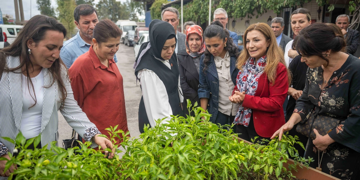 Açık havada bir araya gelmiş bir grup kadın ve erkek, ahşap bir saksı içerisindeki yeşil biber fidelerini inceliyor. Gruptaki bazı kadınlar elleriyle fideleri işaret ederek bitkilerin gelişimini gözlemliyor. Arka planda park halindeki araçlar ve ağaçlar görülüyor.