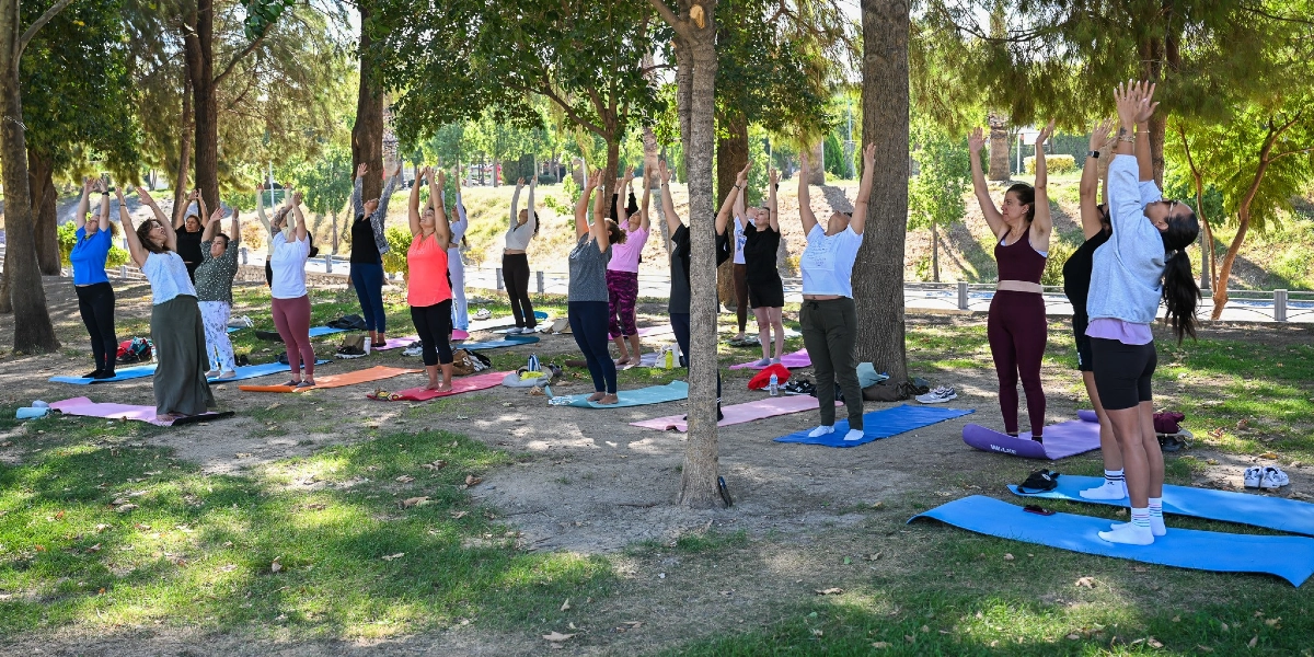 Ağaçlık bir park alanında, yoga matları üzerinde yan yana dizilmiş bir grup kadın, ellerini yukarıya doğru kaldırarak yoga veya esneme hareketi yapıyor. Farklı renklerde spor kıyafetleri giymiş olan kadınlar, güneşli bir havada açık havada egzersiz yapıyor.