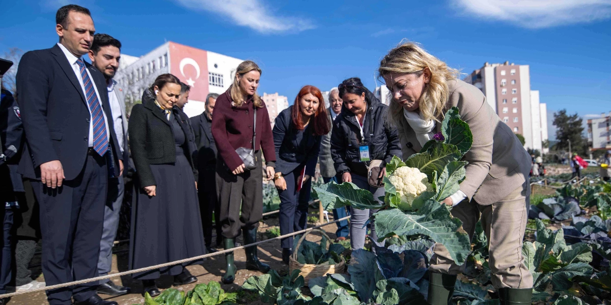Açık havada, bir sebze bahçesinde, CHP Kadın Kolları Başkanı Asu Kaya eğilmiş bir şekilde taze bir karnabaharı incelerken, yanında bulunan bir grup yetkili ve beraberindekiler onu izliyor. Arka planda Türk bayrağının asılı olduğu bir bina ve yerleşim yerleri görülüyor.