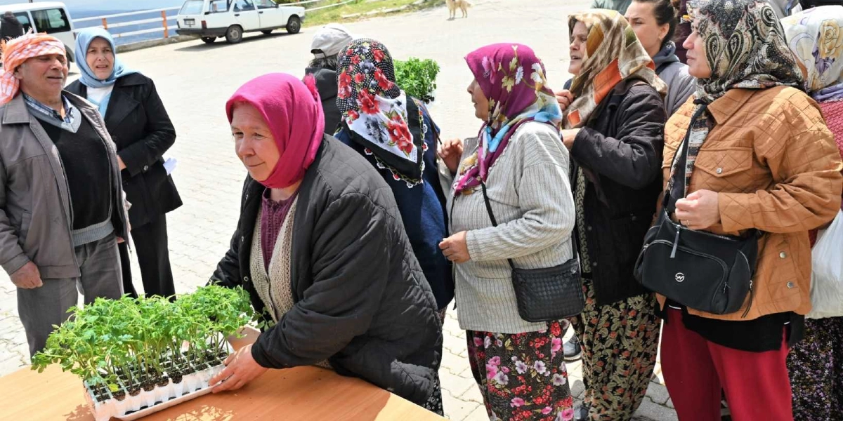Açık havada, kilit taşı döşeli bir alanda kurulan masanın başında, başörtülü bir kadın elinde tuttuğu fide tepsisini diğer kişilere gösteriyor. Çevresinde, çeşitli renklerde başörtüleri ve günlük kıyafetleri olan, çoğunluğu kadınlardan oluşan bir grup insan, fideleri incelemek için toplanmış durumda. Arka planda park halindeki araçlar ve bir köpek görülüyor.