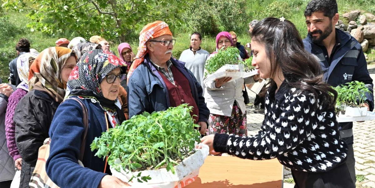 Bornova Belediyesi görevlileri, açık havada kurulan bir stantta yerel üreticilere fide dağıtıyor. Siyah beyaz desenli hırka giyen bir kadın, elindeki fide dolu plastik kabı başörtülü yaşlı bir kadına uzatıyor. Çevredeki diğer üreticiler de ellerinde fide tepsileriyle sıranın kendilerine gelmesini bekliyor.