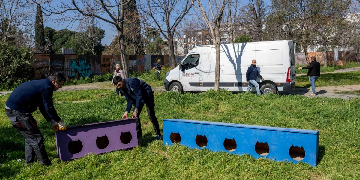 Bornova Belediyesi ekipleri, parktaki yeşil alanın üzerine kedi evi olarak tasarlanmış, üzerinde kedi silüeti şeklinde giriş delikleri bulunan mor ve mavi renkli uzun ahşap kutuları yerleştiriyor. Arka planda belediyeye ait beyaz bir minibüs ve ağaçlık bir alan bulunuyor.