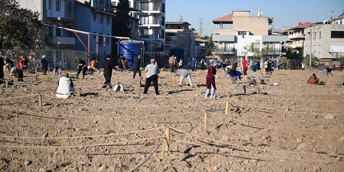 Şehir merkezindeki binaların arasında yer alan geniş ve boş bir arazide, iplerle parsellere ayrılmış toprak alanda çalışan çok sayıda insan. Çoğunluğu kadınlardan oluşan grup, ellerindeki küçük bitkileri toprağa dikmekle meşgul. Arka planda apartmanlar ve büyük mavi su depoları görülüyor.