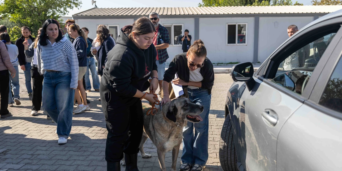 Açık havada, parke taşlı bir alanda, siyah sweatshirt giymiş bir kadın büyük, gri renkli bir köpeği tasmasından tutarken, yanındaki güneş gözlüklü bir kadın köpeği severken görülüyor. Arka planda, yeni sahiplenilen köpekleri bekleyen veya onları uğurlayan bir grup insan ve tek katlı beyaz bir bina yer alıyor. Köpeğin yanında durduğu gümüş renkli bir otomobilin ön kısmı kadrajın sağ tarafında bulunuyor.