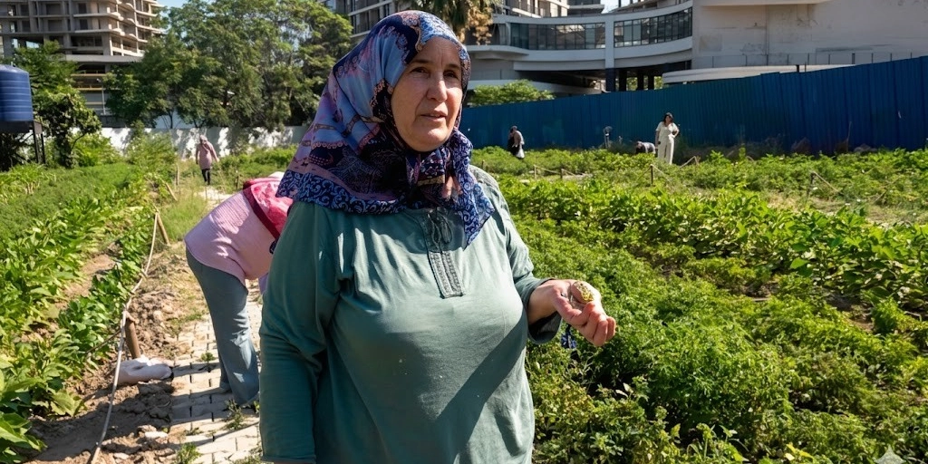 Mavi ve mor desenli başörtüsü takan orta yaşlı bir kadın, Bornova'da şehir içinde yer alan bir bostanda elinde tuttuğu küçük bir sebzeyi gösteriyor. Kadının arkasında, toprakta düzenli sıralar halinde ekilmiş yeşil bitkiler ve bahçeyle ilgilenen diğer kadınlar görülüyor. Arka planda ise modern apartmanlar ve mavi bir inşaat çiti yer alıyor.