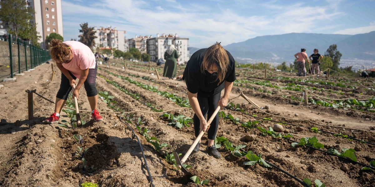 Açık havada, Bornova'daki bir kent bahçesinde ellerinde çapalarla toprakla uğraşan kadınlar. Ön planda pembe tişörtlü bir kadın ve siyah kıyafetli bir başka kadın, yeni dikilmiş fidelerin bulunduğu sıraları çapalarla havalandırıyor. Arka planda ise bahçenin farklı bölümlerinde çalışan diğer kadınlar, yerleşim yerleri ve dağ manzarası görülüyor.