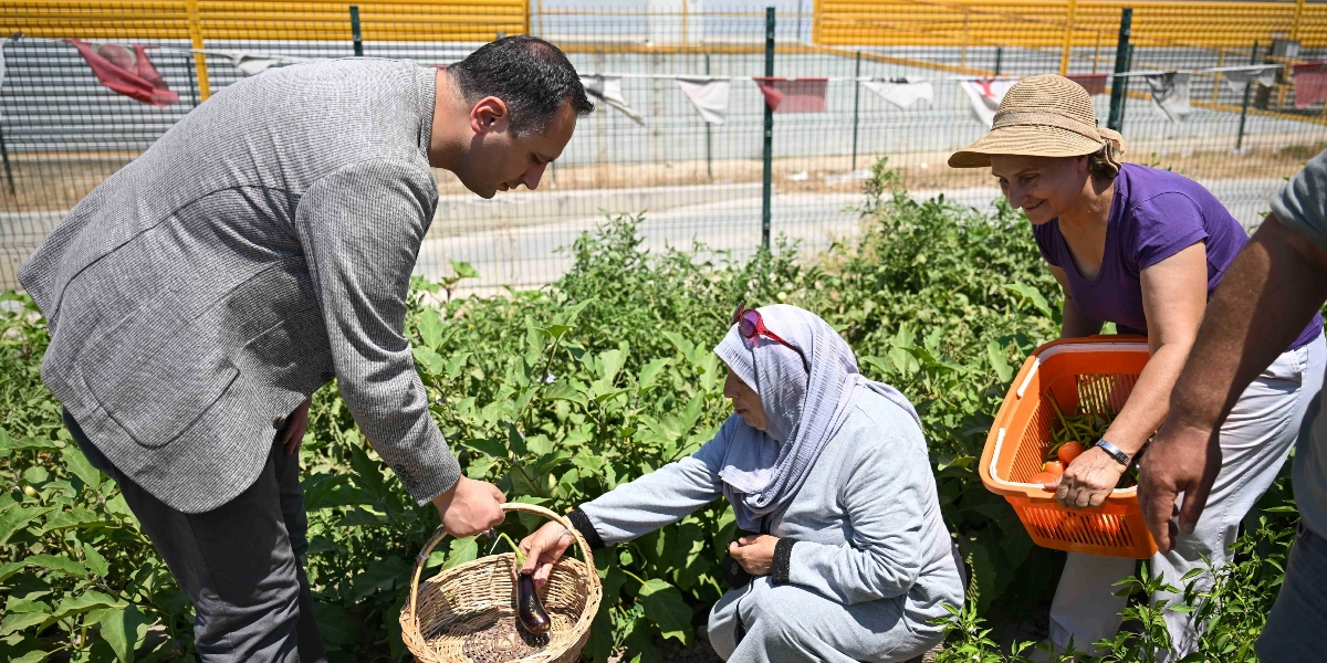 Gri ceketli bir erkek, hasır bir sepet tutan başörtülü bir kadına bahçeden topladığı patlıcanı verirken, yanında mor tişörtlü ve hasır şapkalı bir kadın elinde içinde sebzeler bulunan turuncu bir plastik sepetle onlara eşlik ediyor.