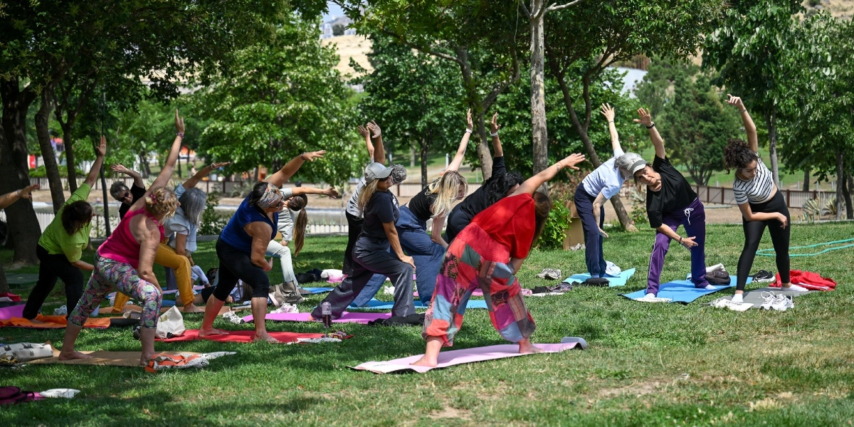 Ağaçlık bir parkta, yoga matları üzerinde yan esneme hareketi yapan bir grup kadın. Farklı renklerde spor kıyafetleri giymiş kadınlar, güneşli bir havada çimlerin üzerinde yan yana dizilmiş şekilde aynı yoga pozunu uyguluyor.