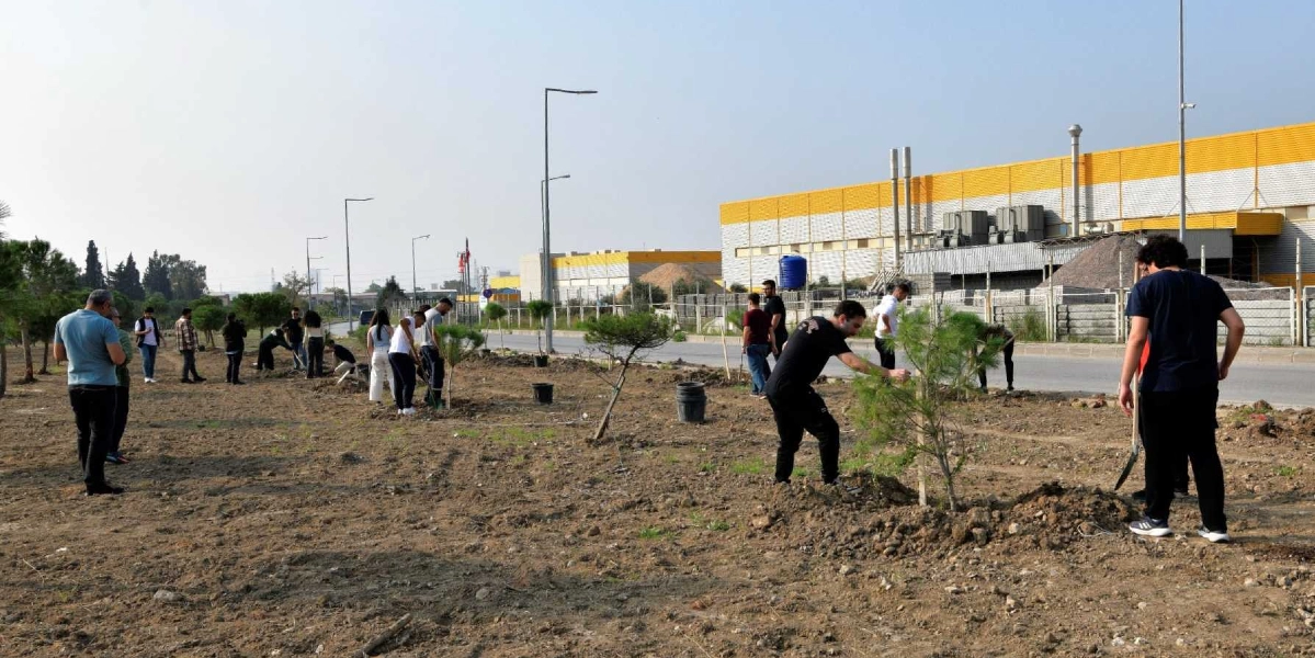 Açık bir alanda, sanayi tipi büyük binaların önündeki toprak arazide ağaç dikimi yapan bir grup genç. Bazı gençler ellerindeki küreklerle fidanların etrafındaki toprağı düzenlerken, bazıları dikilmiş fidanların yanında duruyor. Arka planda yol kenarındaki aydınlatma direkleri ve sarı-beyaz renkli fabrika binaları görülüyor.
