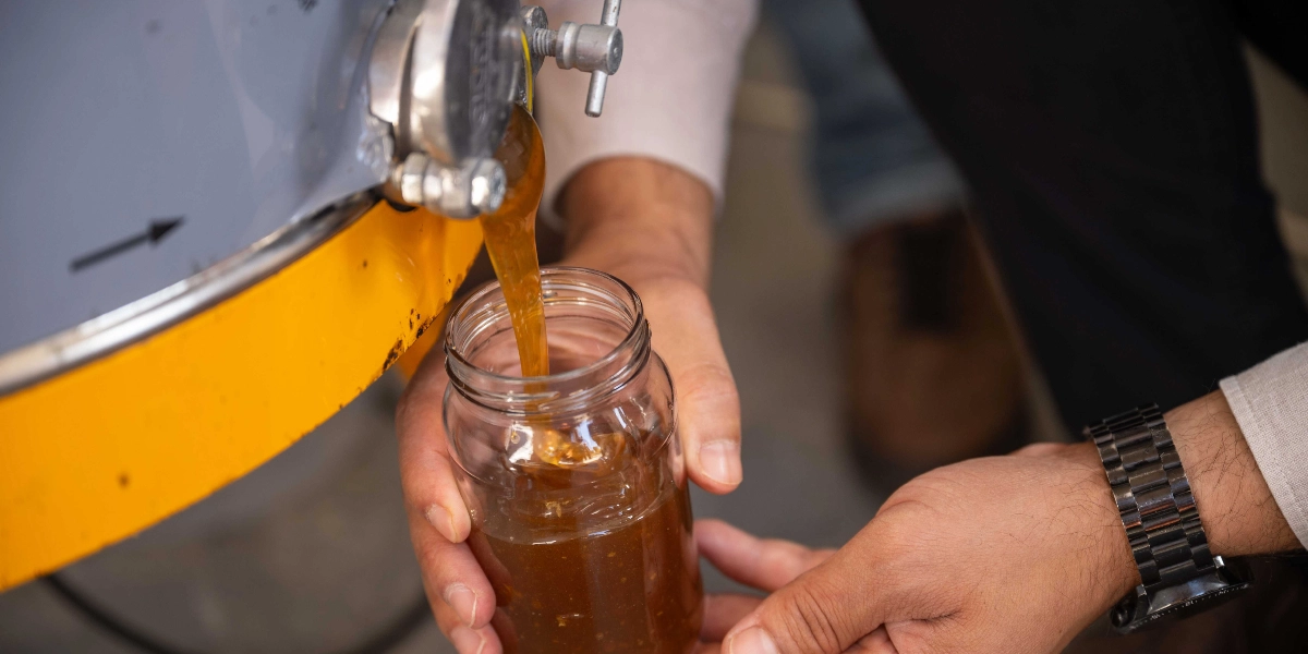 Metal bir bal süzme makinesinin musluğundan akan taze balın, bir kişinin elleriyle tuttuğu cam kavanoza doluşu.