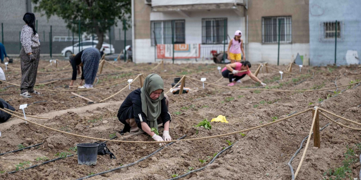 Şehir merkezindeki bir bostanda, iplerle parsellere ayrılmış toprak alanda bitki eken ve bakım yapan kadınlar ve bir çocuk görülüyor. Ön planda başörtülü bir kadın, eldivenleriyle toprağı kazıp fide dikerken, arka planda diğer katılımcılar da benzer şekilde bahçe işleriyle uğraşıyor. Bostanın çevresi çitlerle çevrili olup arkada bir apartman binası yer alıyor.