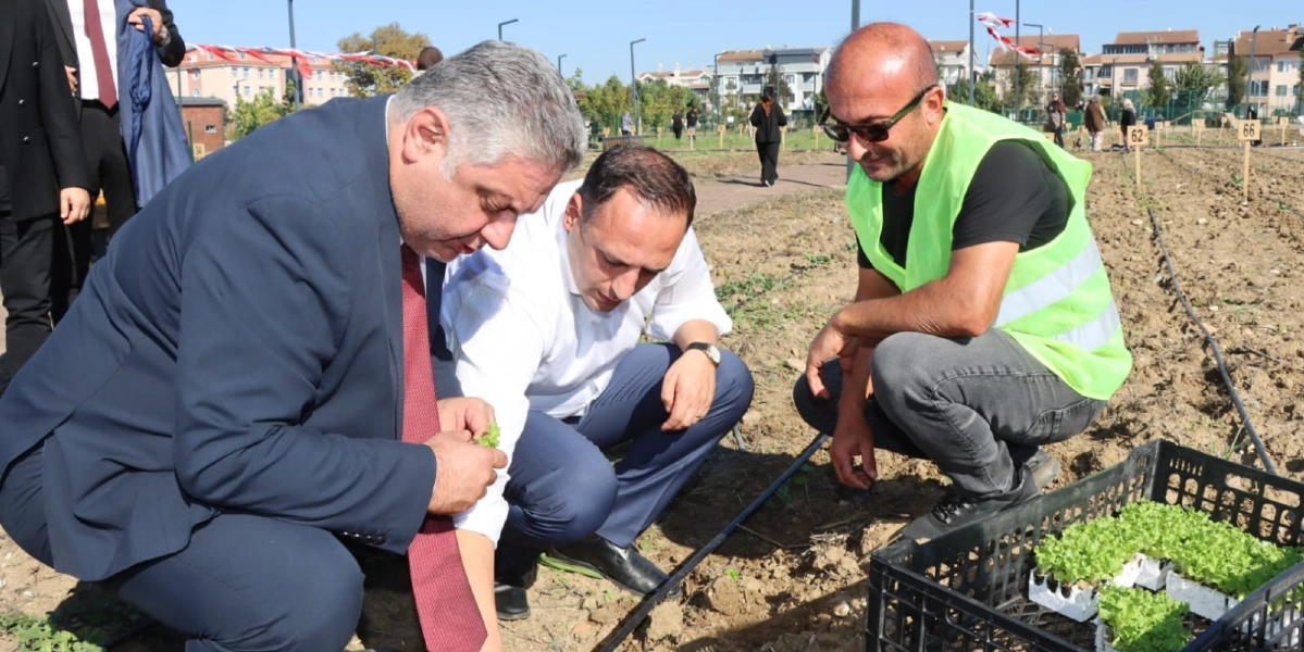 Takım elbiseli iki erkek ve üzerinde neon sarı yelek bulunan bir kişi, açık havada, ekime hazır toprak bir alanda çömelmiş durumdalar. Takım elbiseli olanlardan biri elinde tuttuğu küçük bir yeşil fideyi toprağa dikerken, yanındaki diğer iki kişi dikkatle onu izliyor. Önlerinde içinde çok sayıda yeşil marul fidesi bulunan siyah plastik bir kasa duruyor. Arka planda ise üzerinde numaralar yazılı küçük tabelaların bulunduğu tarım alanı ve yerleşim yerleri görülüyor.