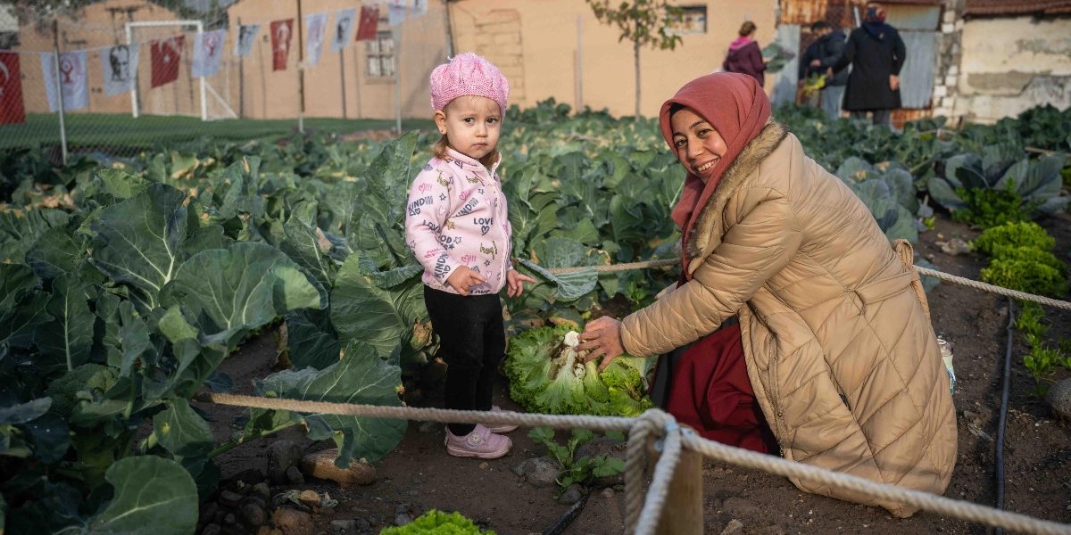 Pembe bereli küçük bir kız çocuğu ve başörtülü bir kadın, Bornova'daki bir kent bostanında marul hasadı yapıyor. Kadın, dizlerinin üzerine çökmüş gülümseyerek bir marulu tutarken, yanındaki çocuk ona eşlik ediyor. Arka planda ise Türk bayraklarının asılı olduğu bir tel çit ve bostanla ilgilenen diğer insanlar görünüyor.