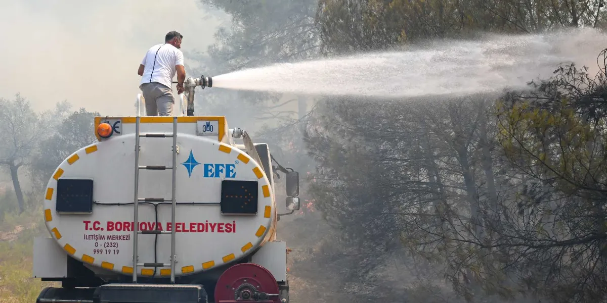 Beyaz tişörtlü bir görevli, üzerinde T.C. Bornova Belediyesi yazan bir su tankerinin tepesinde durarak hortumla ormanlık alandaki yangına tazyikli su sıkıyor.