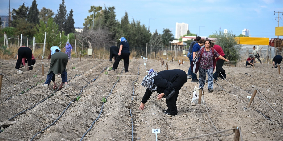 Açık havada, toprakla hazırlanmış sıralı ekim alanlarında çalışan bir grup kadın. Kadınlar eğilmiş vaziyette toprağı düzenliyor veya ekim yapıyorlar. Arka planda ağaçlar ve şehir yerleşimi görülürken, ön planda üzerinde 29 yazan bir etiket bulunan, damlama sulama borularıyla ayrılmış tarım parselleri yer alıyor.