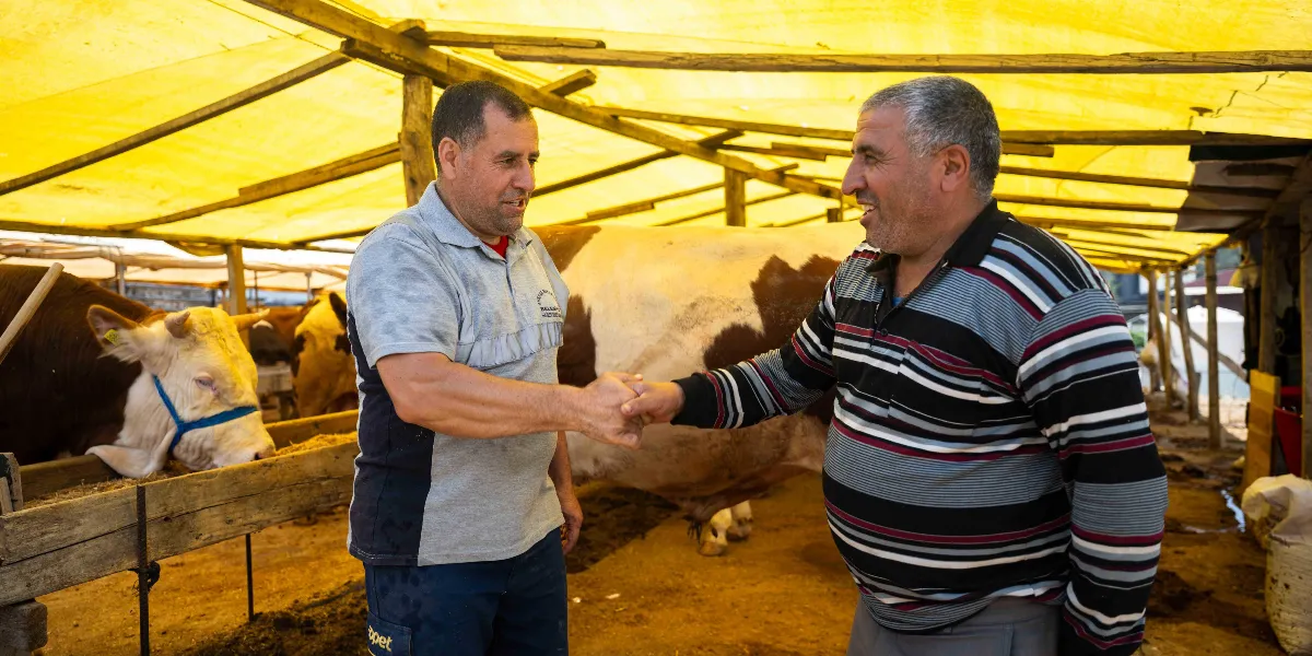 Sarı branda ile kaplı bir kurban pazarında, birbirleriyle tokalaşan ve gülümseyen iki erkek. Arka planda ahşap bölmelerin içinde yem yiyen büyükbaş hayvanlar bulunuyor.