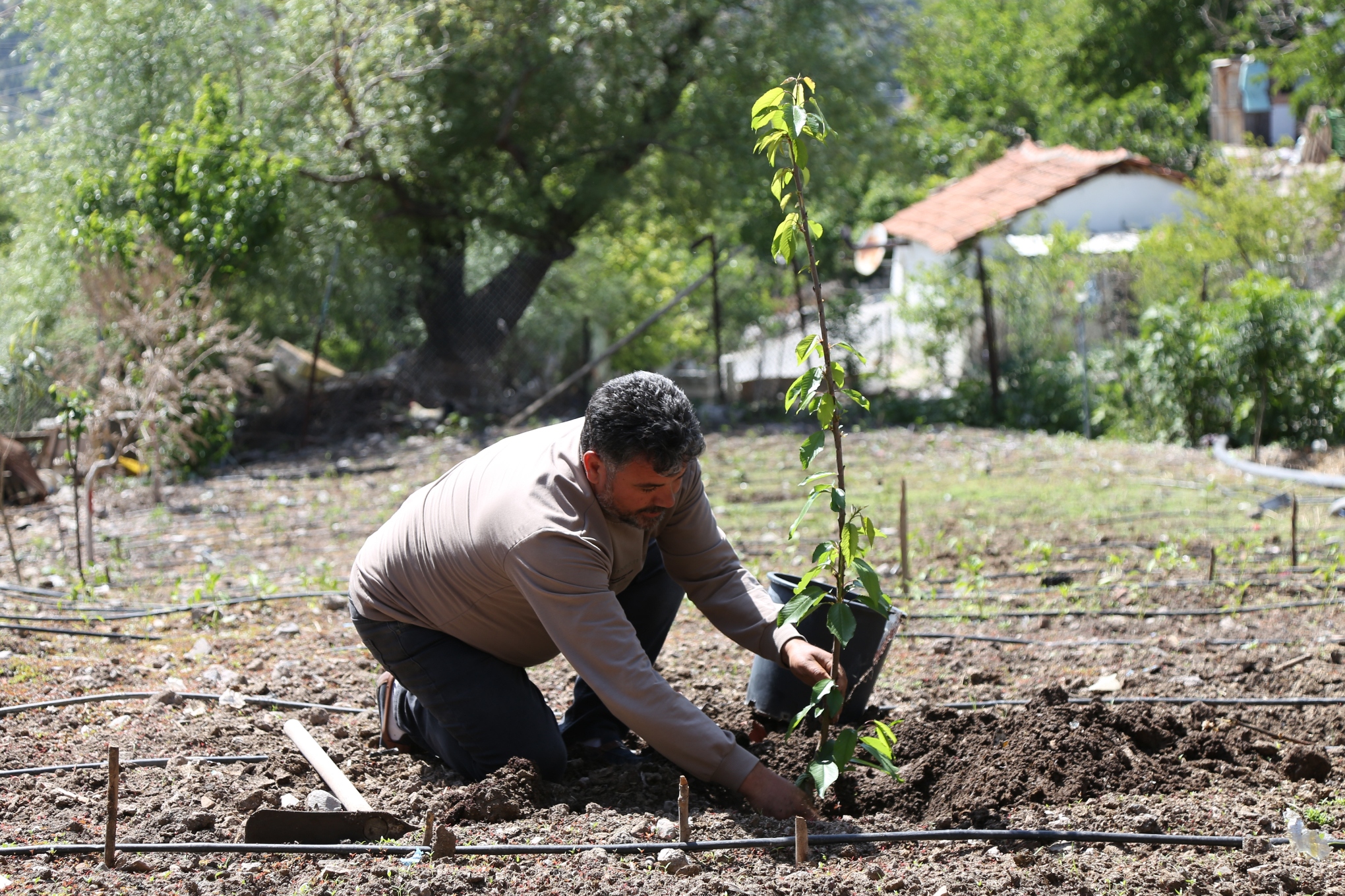 2024/05/tarim-ve-hayvancilik-5.jpg